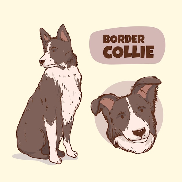 Vetor grátis ilustração de raças de cães desenhadas à mão