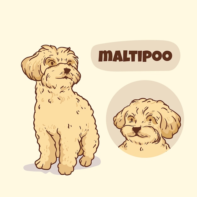 Ilustração de raças de cães desenhadas à mão