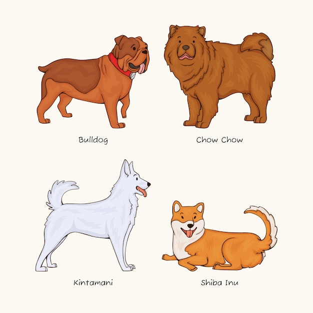 Vetor grátis ilustração de raças de cães desenhadas à mão