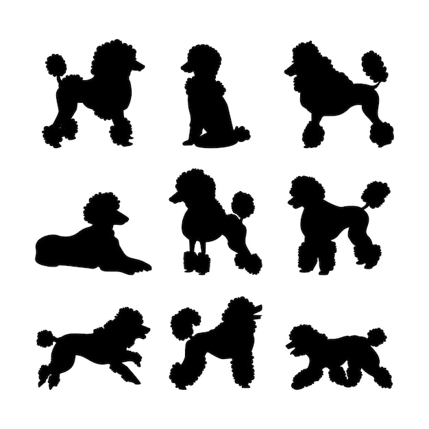 Ilustração de silhueta de poodle de design plano