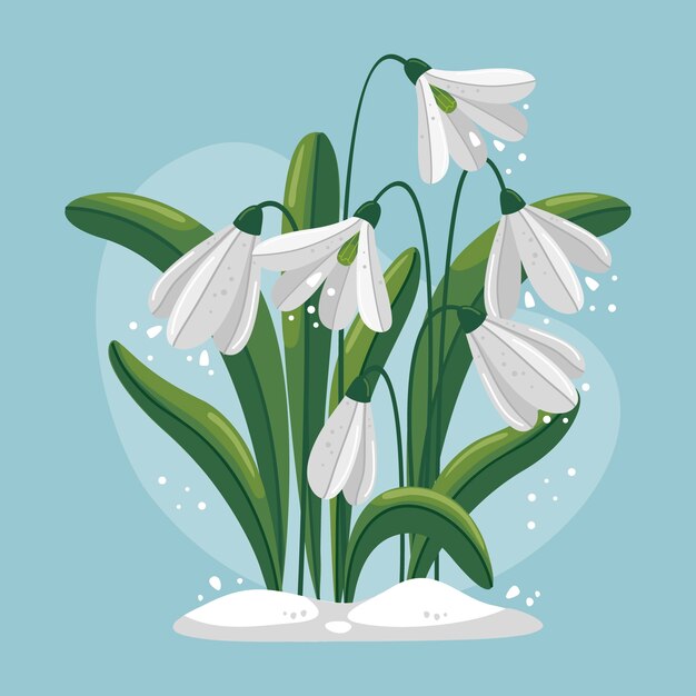 Ilustração de snowdrop de design plano desenhado à mão