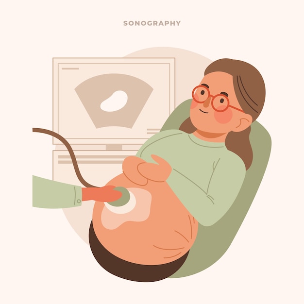 Vetor grátis ilustração de sonografia de design plano desenhado à mão