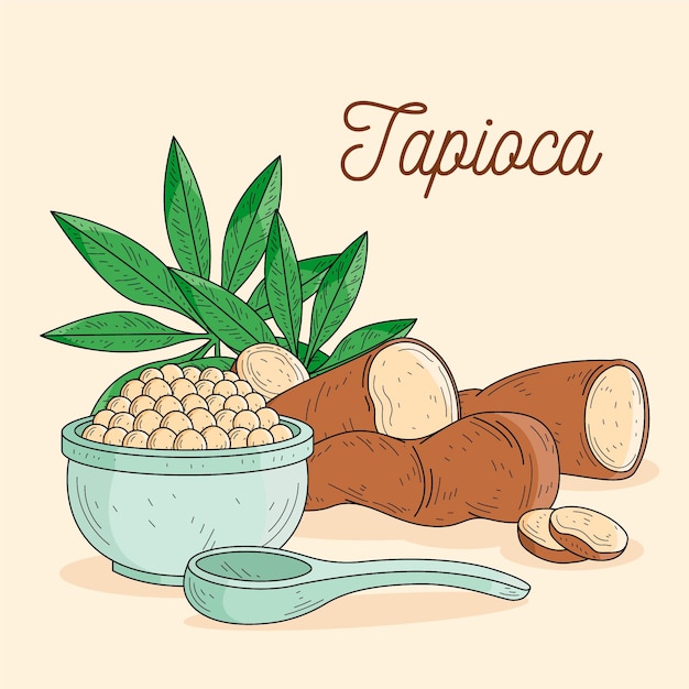 Vetor grátis ilustração de tapioca desenhada à mão