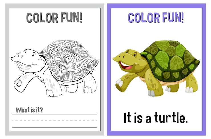 Vetor grátis ilustração de tartaruga educacional de cores divertida
