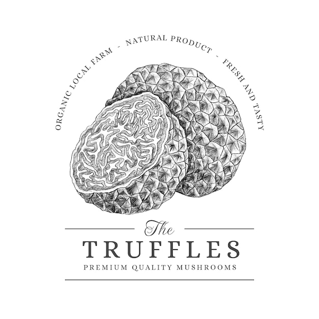 Vetor grátis ilustração de trufas desenhadas à mão