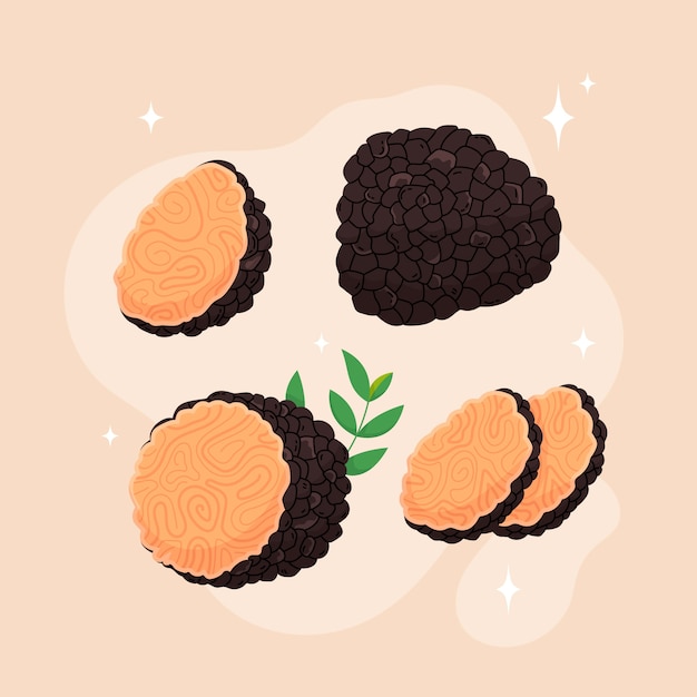 Vetor grátis ilustração de trufas desenhadas à mão