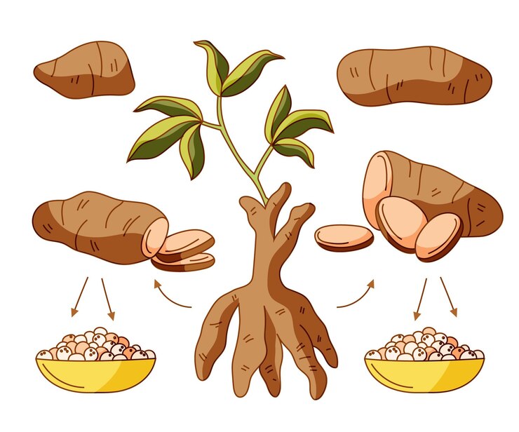 Vetor grátis ilustração desenhada à mão de tapioca