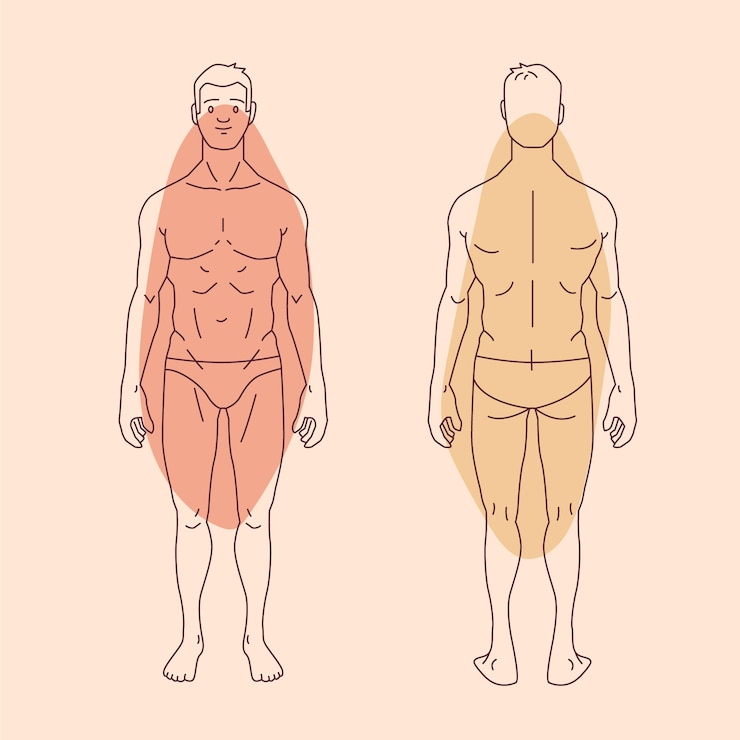 Vetor grátis ilustração desenhada à mão do contorno do corpo humano