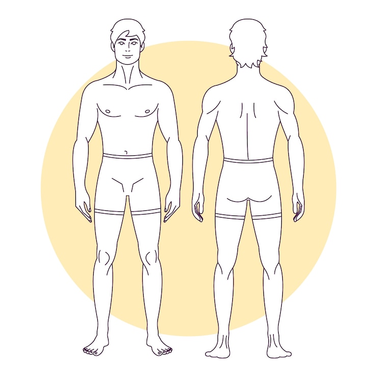 Vetor grátis ilustração desenhada à mão do contorno do corpo humano