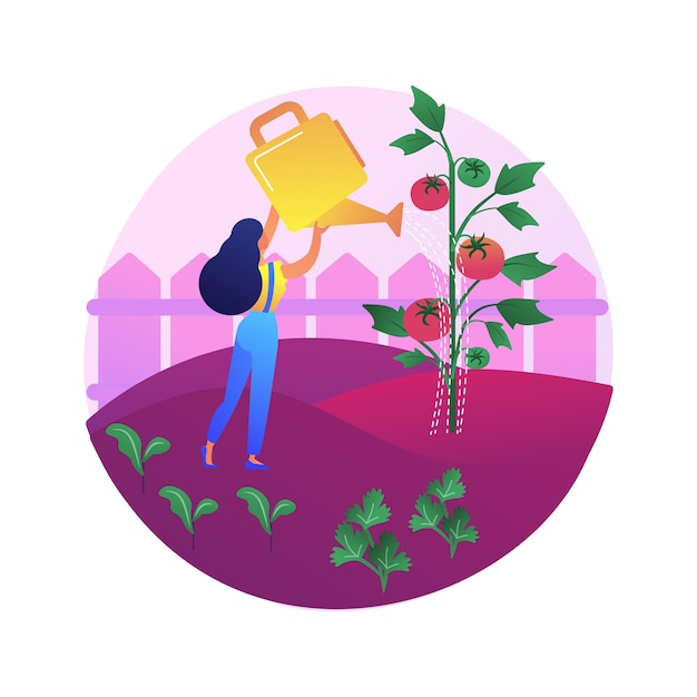 Ilustração do conceito abstrato de cultivo de vegetais. jardinagem doméstica para iniciantes, plantio no solo, alimentos orgânicos, sementes de salada, jardim de recipiente, comer alimentos frescos.