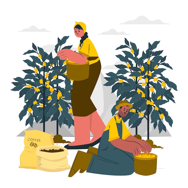Vetor grátis ilustração do conceito de fazenda de café