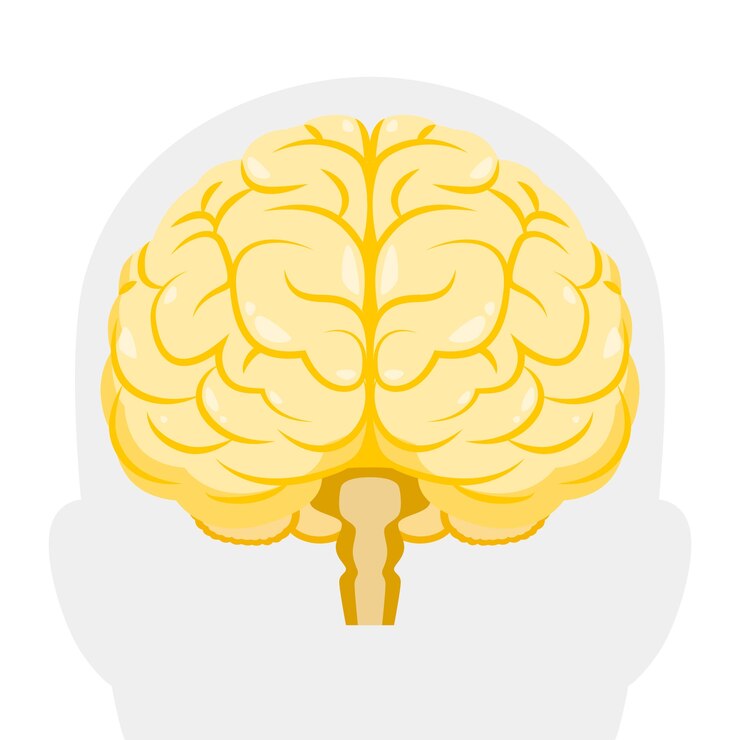 Vetor grátis ilustração do conceito de órgão cerebral