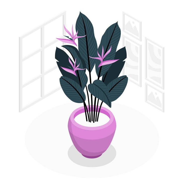 Vetor grátis ilustração do conceito de planta strelitzia
