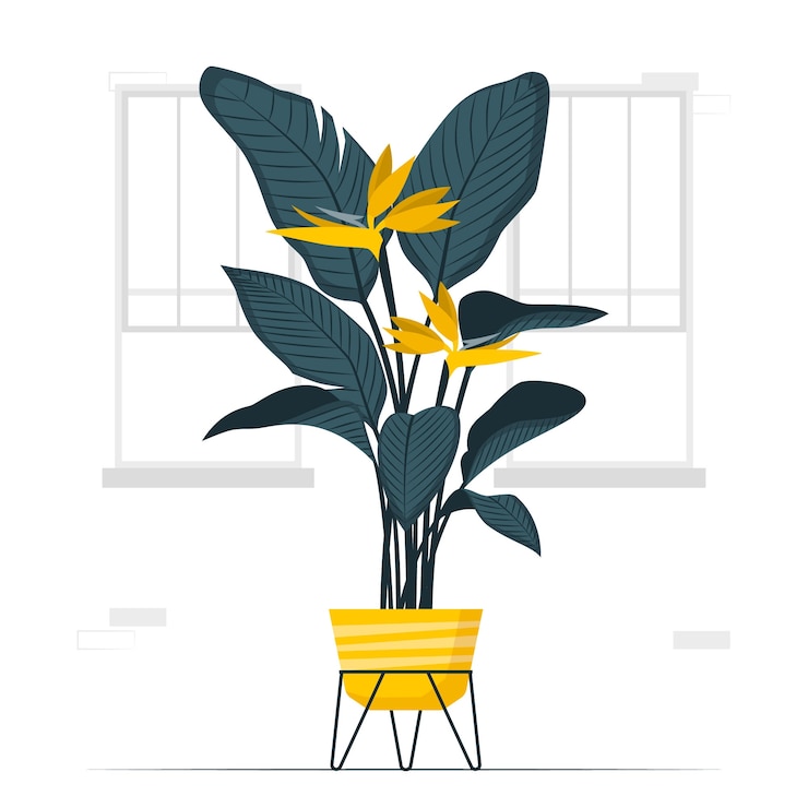 Vetor grátis ilustração do conceito de planta strelitzia