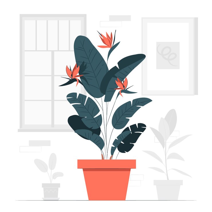 Vetor grátis ilustração do conceito de planta strelitzia