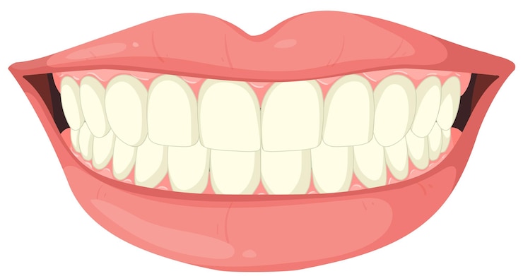 Vetor grátis ilustração do vetor do sorriso saudável