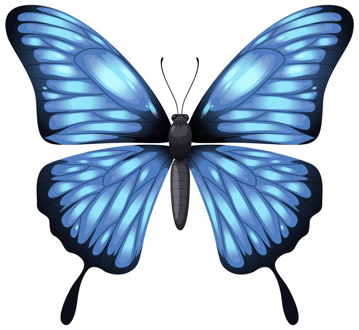 Vetor grátis ilustração elegante de borboleta azul