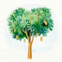 Vetor grátis ilustração em aquarela de mangueira com frutas