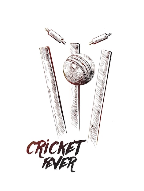Ilustração em vetor de desenho gráfico à mão livre de febre de críquete