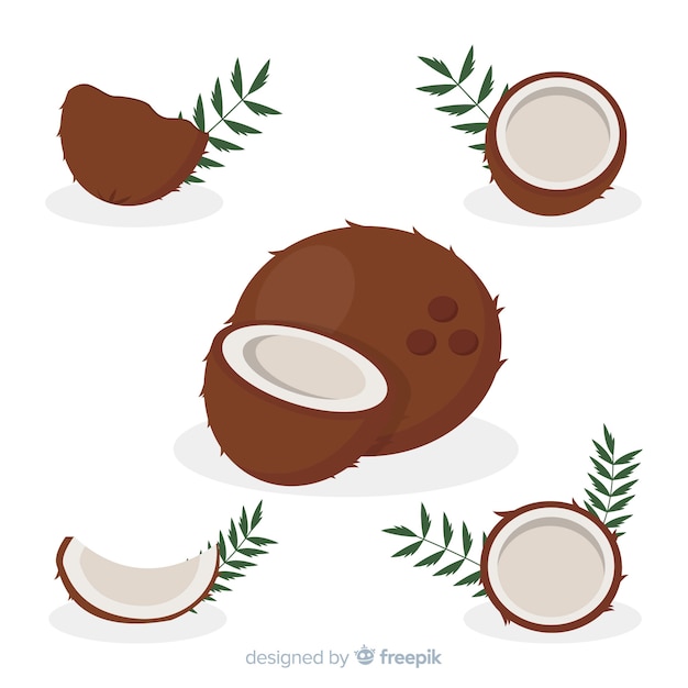 Vetor grátis ilustração plana de coco