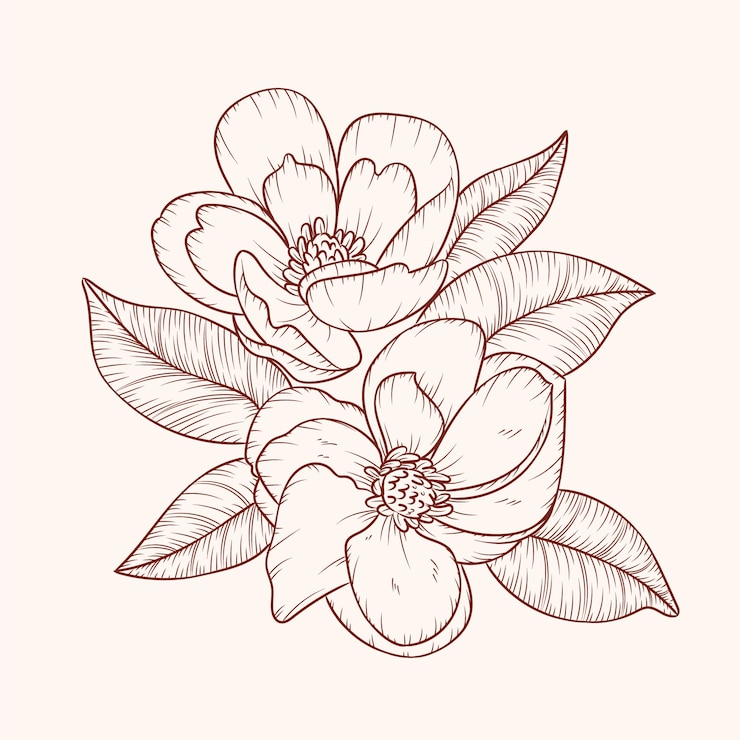 Vetor grátis ilustração simples de contorno de flor desenhada à mão