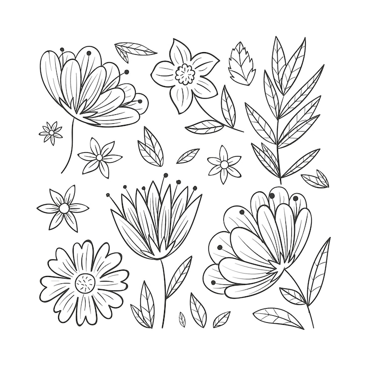 Vetor grátis ilustração simples de contorno de flor desenhada à mão