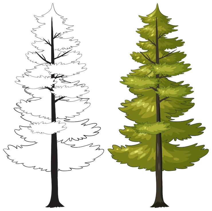 Vetor grátis ilustração vetorial da árvore de pinheiro antes e depois