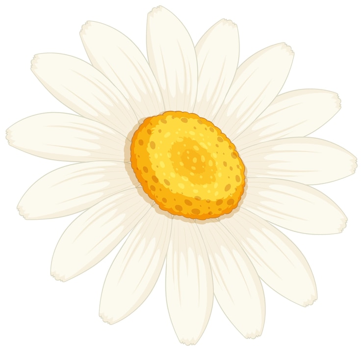 Vetor grátis ilustração vetorial de margarida elegante com cores suaves