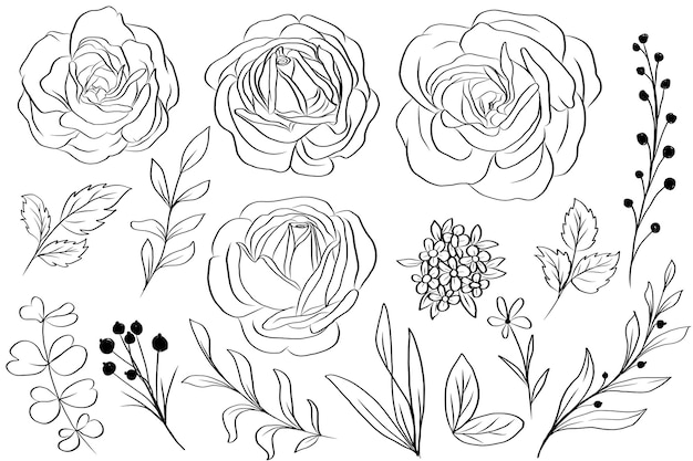 Ilustrações isoladas de flores com rosas e folhas desenhadas a mão