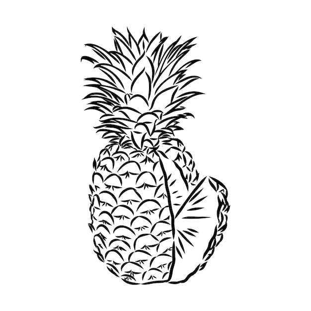 Imagem de abacaxi ilustração vetorial a preto e branco Vetor Premium