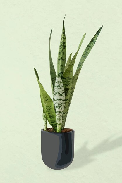 Imagem vetorial de planta, decoração de interiores em vasos de planta cobra