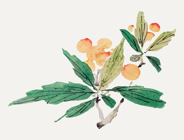 Impressão de arte botânica de vetor de frutas, remixada de obras de Hu Zhengyan
