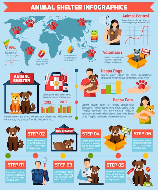 Infografia de abrigo de animais