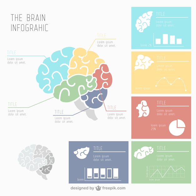 Vetor grátis infográfico cérebro humano com vários gráficos