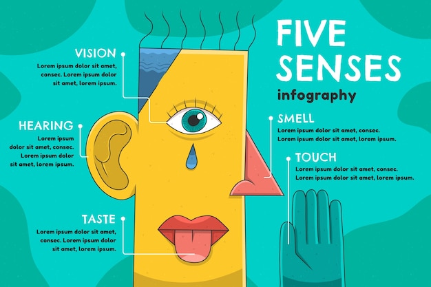 Infográfico de 5 sentidos desenhados à mão
