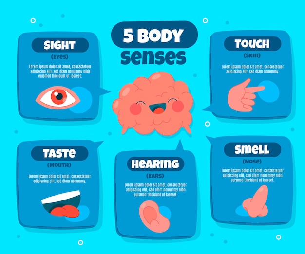 Vetor grátis infográfico de 5 sentidos desenhados à mão