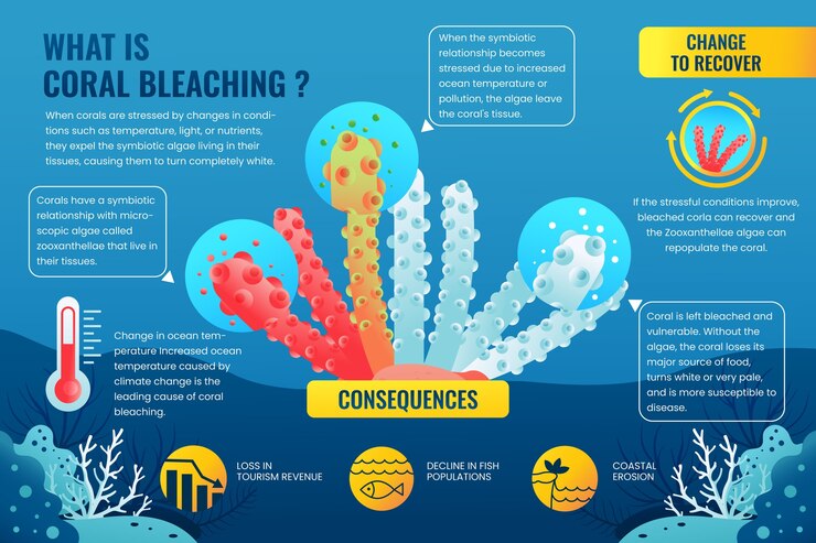 Vetor grátis infográfico de branqueamento de corais em gradiente