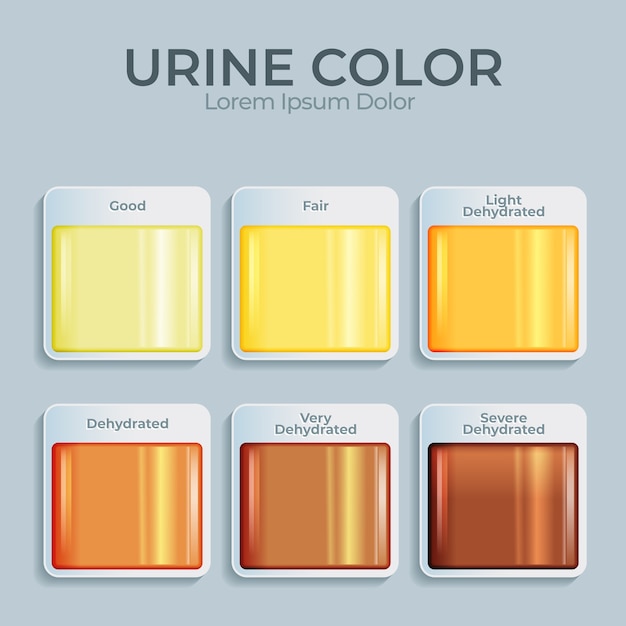 Infográfico de cor de urina gradiente