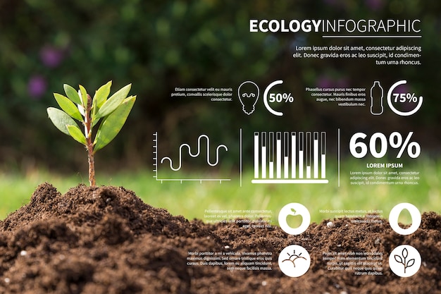 Vetor grátis infográfico de ecologia com foto