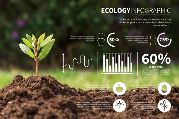 Vetor grátis infográfico de ecologia com foto