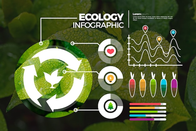 Vetor grátis infográfico de ecologia com foto