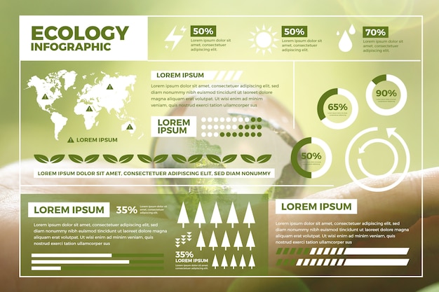 Infográfico de ecologia detalhada com foto