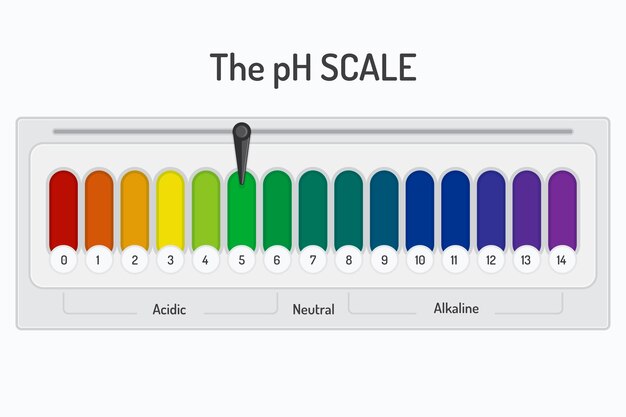 Infográfico de escala de ph de design plano