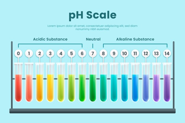 Infográfico de escala de ph gradiente