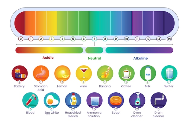 Vetor grátis infográfico de escala de ph gradiente