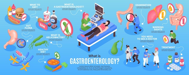 Vetor grátis infográfico de gastroenterologia isométrica com o que comer, tratamento de exame de dieta saudável de flora intestinal e outras descrições