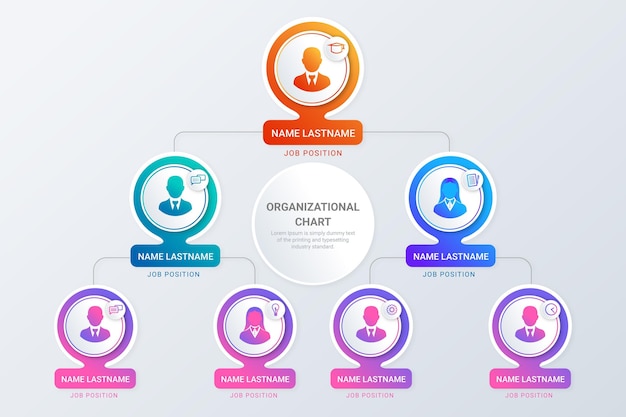 Infográfico de gráfico organizacional de gradiente