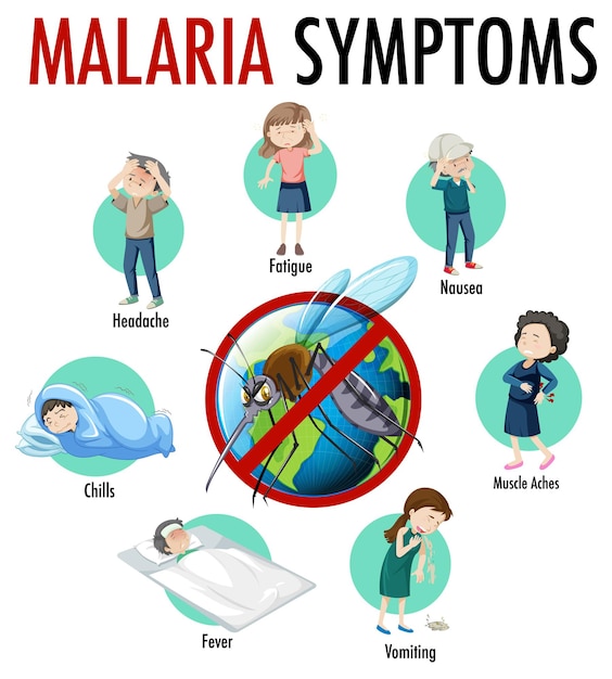 Infográfico de informações sobre sintomas de malária