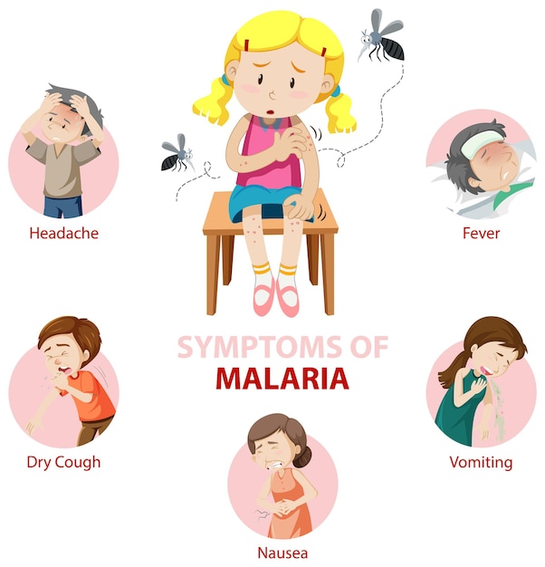 Infográfico de informações sobre sintomas de malária