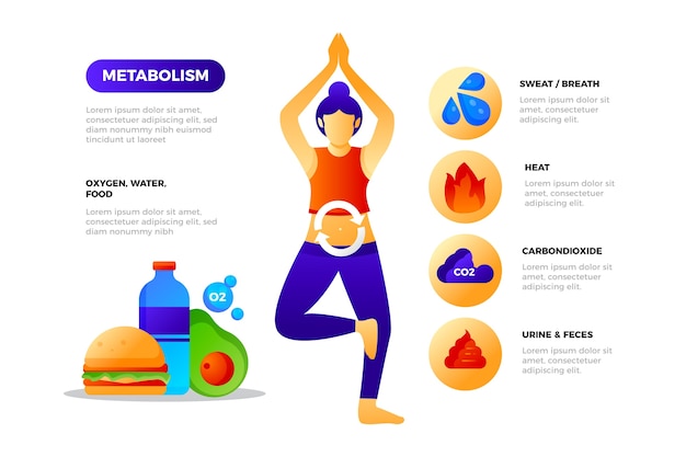 Vetor grátis infográfico de metabolismo de gradiente